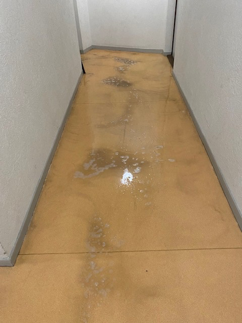 image aprés couloir immeuble ls propre